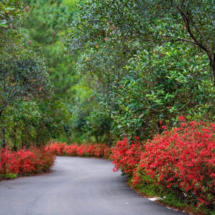 Đất nền 50m² Trương Hán Siêu, TP Hải Dương - Giá tốt, xây dựng tự do!