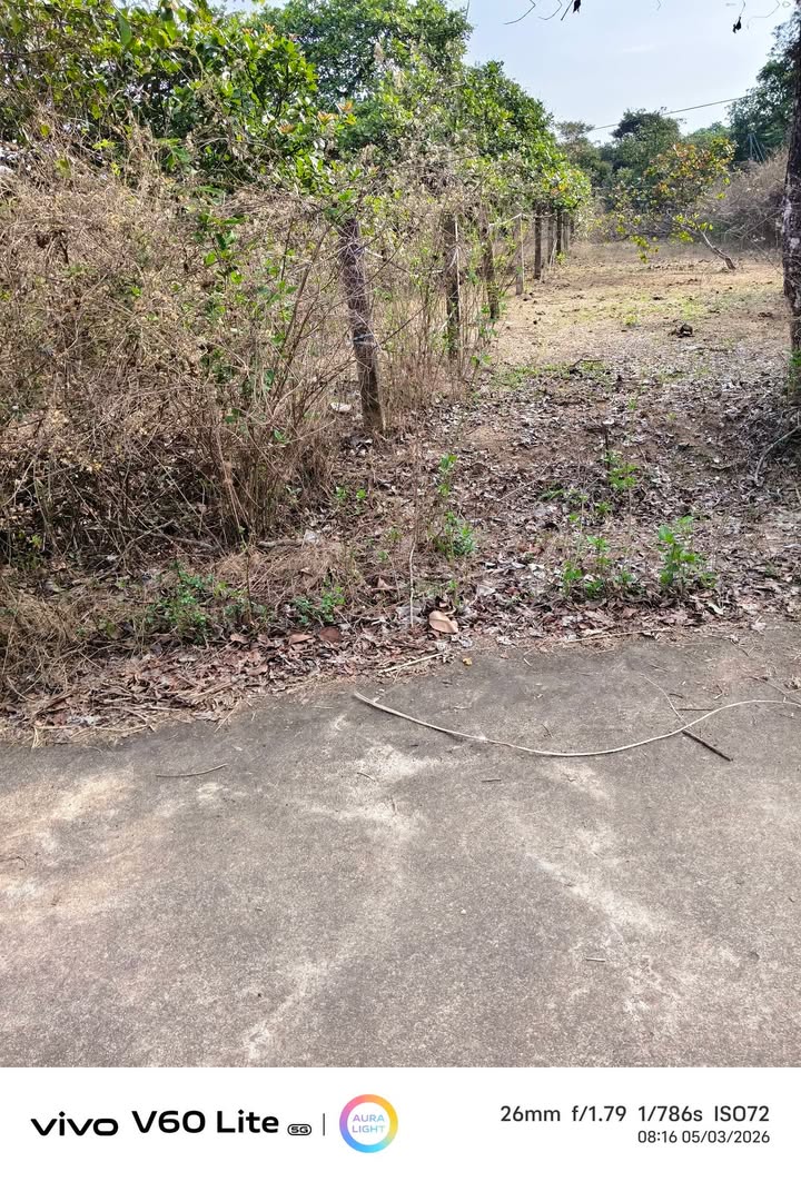 Đất Nền 360m² Xuân Lộc - Sổ Hồng Sẵn Sàng, Giá 1.25 Tỷ