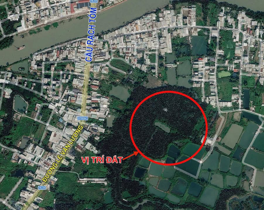 Bán Đất Lúa 1000m² Xã Nhơn Đức, Nhà Bè - Giá 2.8 Tỷ Gần Cầu Rạch Tôm