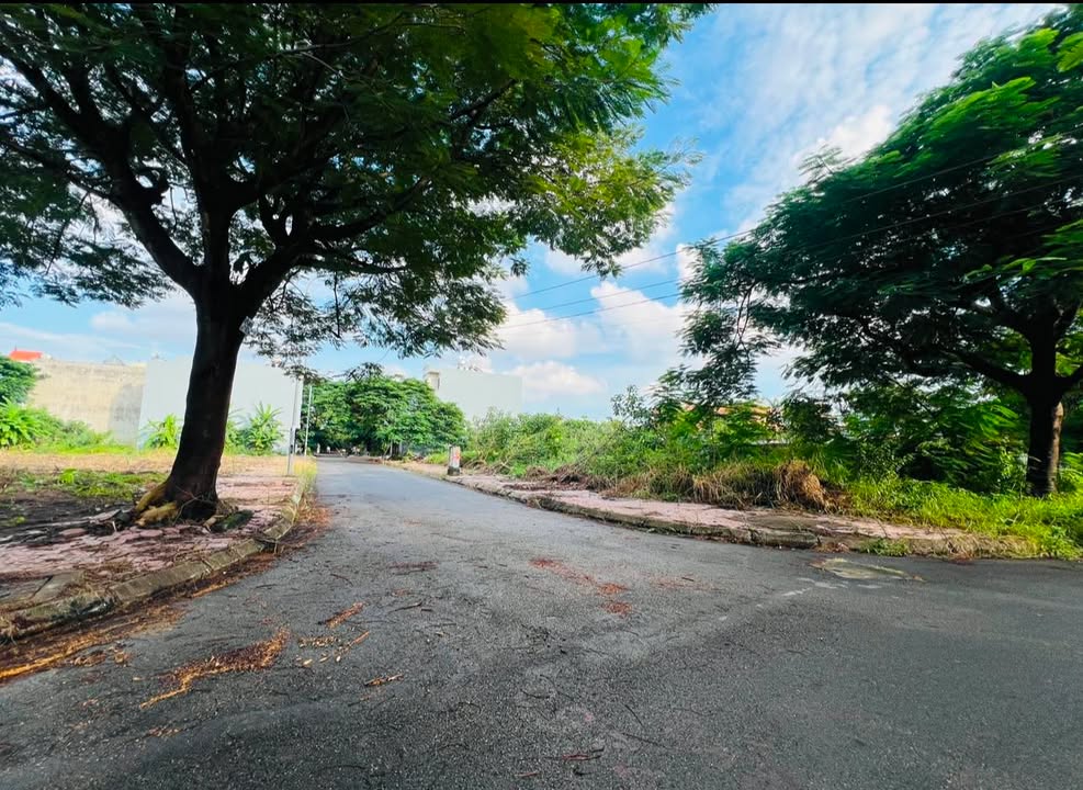 Đất nền Hồng Bàng 60m² 2.69 tỷ - Đường to ô tô, kinh doanh đỉnh!