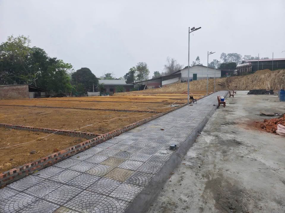 Đất thổ cư 90m² Tam Đảo, Vĩnh Phúc - Sổ đỏ sẵn, ô tô đỗ tận nơi