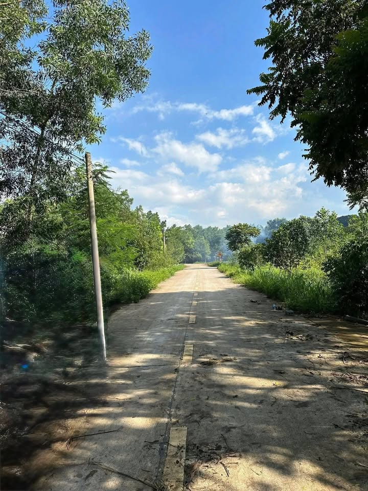 Đất Nền Thạch Bình, Ninh Bình - 520m² Vượng Khí, Gần Hồ Tiền Phong