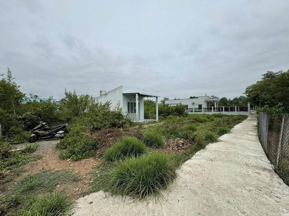 Đất nền Tân Ân Cần Đước 100m² sổ đỏ chính chủ