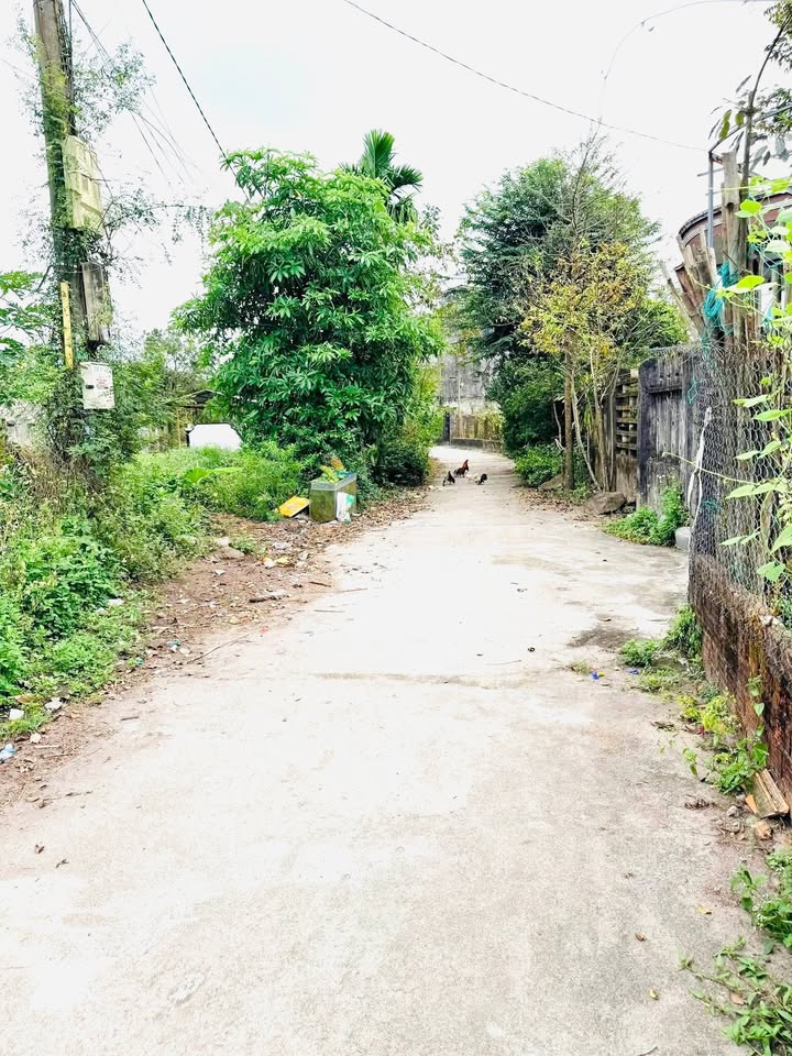 Đất Nền Thăng Bình - Quảng Nam 405m² Sổ Hồng Sẵn Sàng