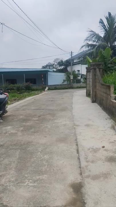 Đất Nam Đàn 243m² Hướng Nam - Sổ Đỏ Sẵn Sàng - Giá Đầu Tư 1.4 Tỷ