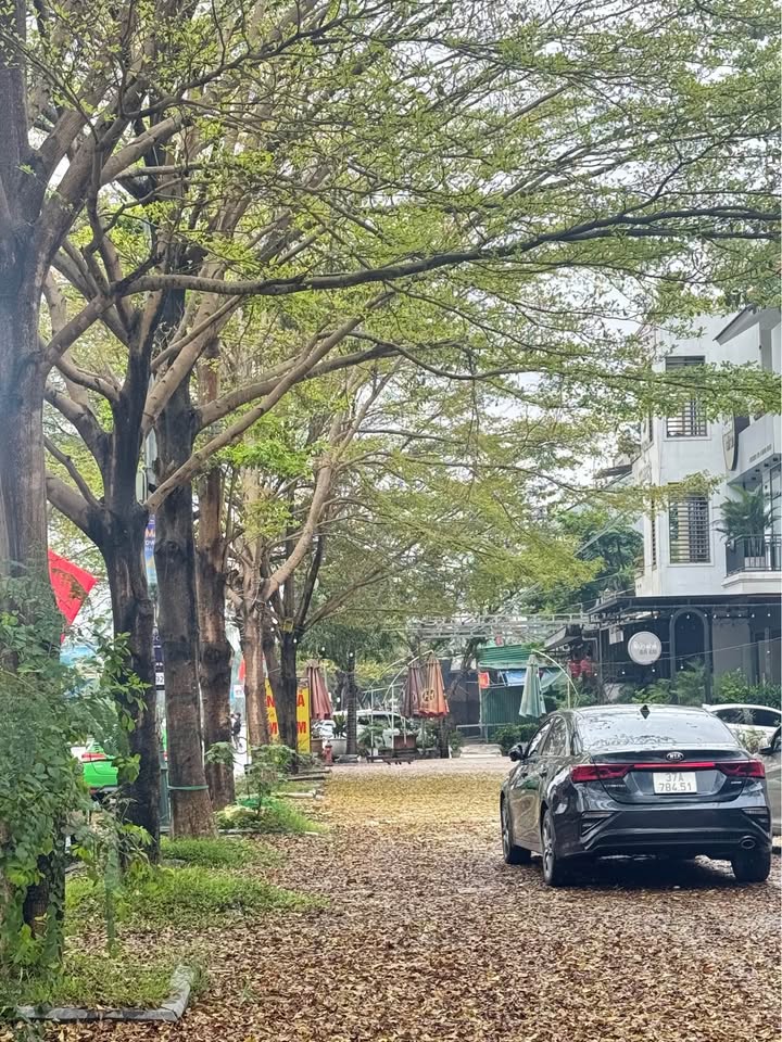 Nhà Vườn Handico Vinh Tân 173m² - Hướng Nam, Đường Đôi Rộng