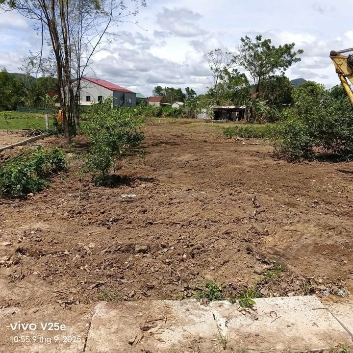 Đất nền Tân Kỳ 231m² - Sổ đỏ chính chủ, đường 7m thông thoáng