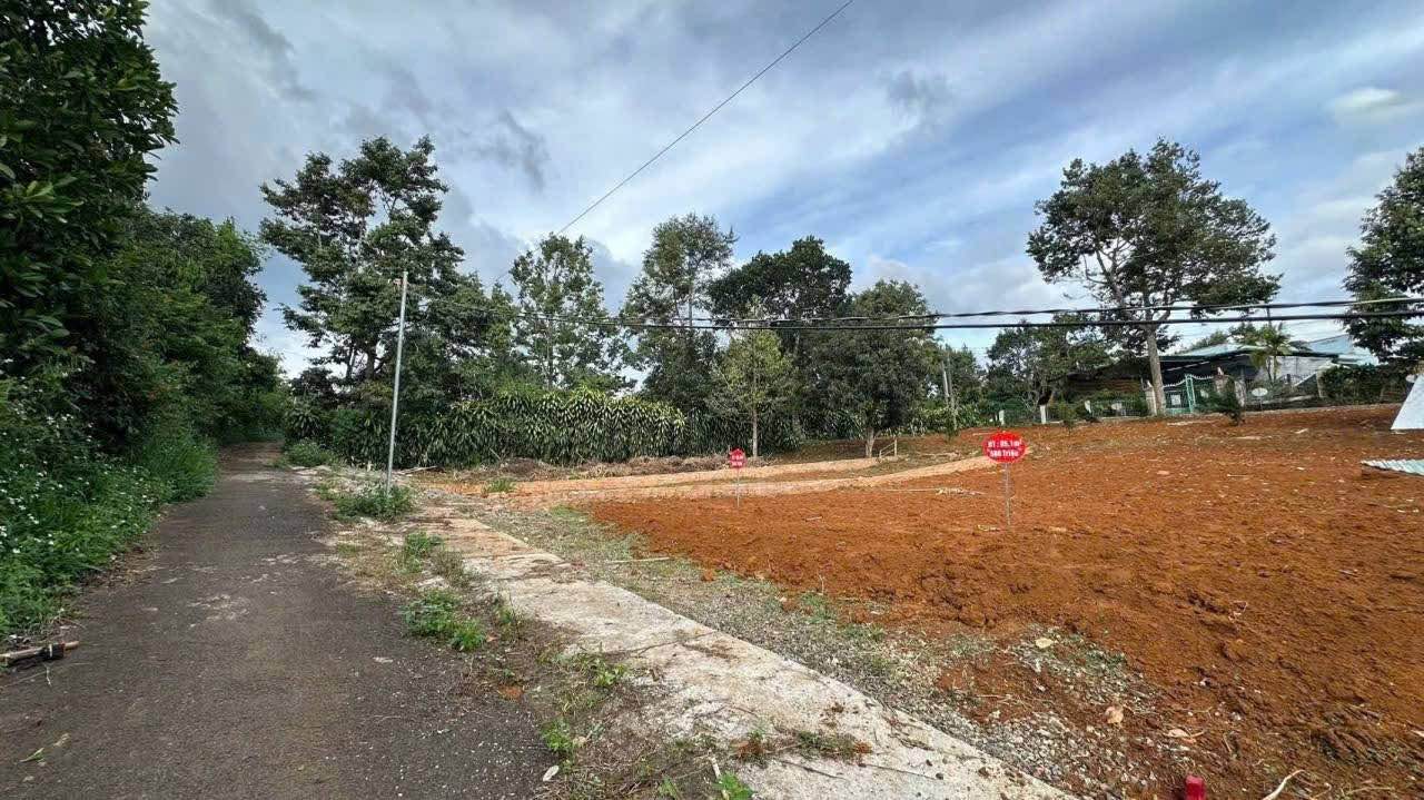 Đất nền Bảo Lộc 100m² giá 580 triệu - Sổ đỏ chính chủ!