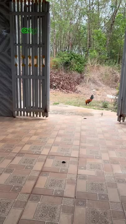 Nhà riêng Đồng Xoài 360m² giá 950 triệu - Giá tốt hiếm có!