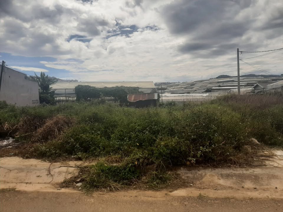 Đất Sổ Hồng Xây Dựng 120m² Mặt Tiền Nguyễn Hữu Cầu, Đà Lạt - Giá 4.6 Tỷ