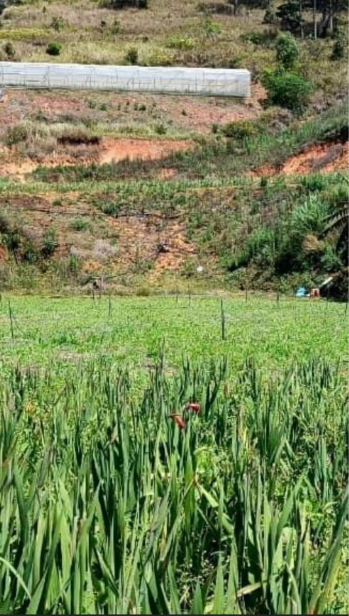 Đất nền Phường 11 Đà Lạt - 1062m² giá 2.5 tỷ, sổ đỏ chính chủ!