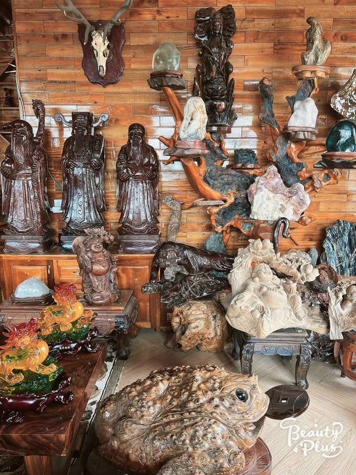 Townhouse Đà Lạt 341m² 24 tỷ - Mặt tiền kinh doanh