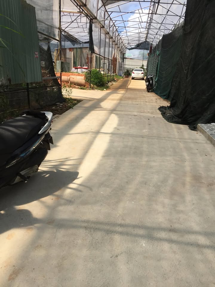 Nhà Riêng Đà Lạt 116m² - Giá Tốt Hiếm Có, Ô Tô Vào Tận Nhà!