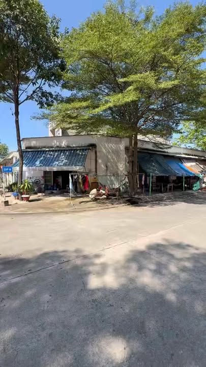 Kho Xưởng Góc 320m² KCN Mỹ Phước 3 - Sẵn Sàng Hoạt Động