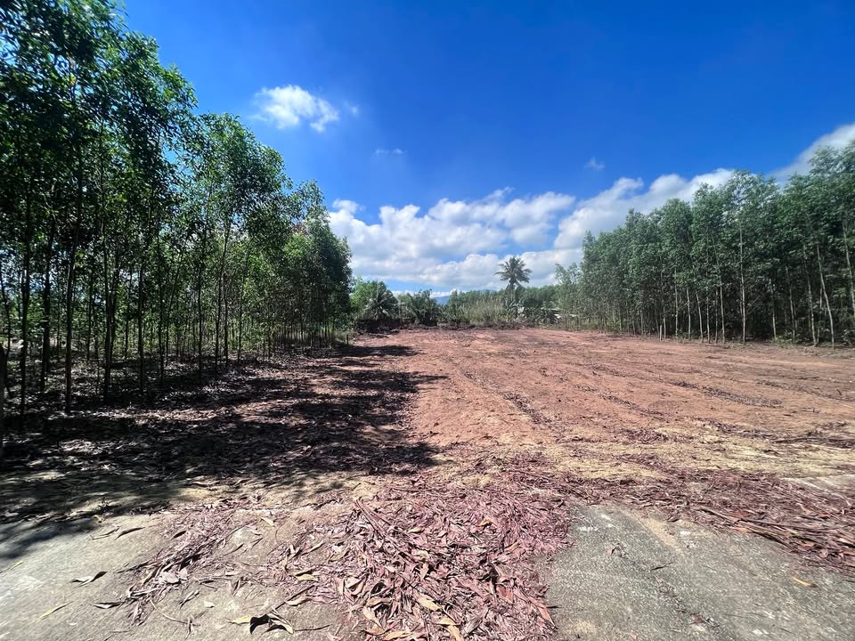 Đất nền Xuân Hòa, Xuân Lộc 260m² - Sổ đỏ chính chủ, giá 500 triệu!