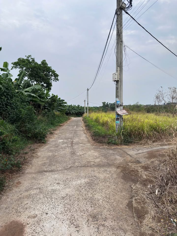 Đất nền Long Bình Tân 100m² chỉ 500 triệu - Sổ đỏ chính chủ