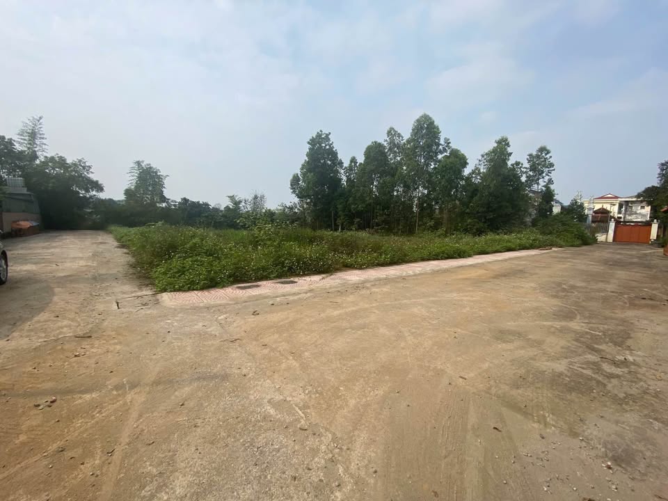 Đất nền Quốc Oai 235m² - Tiềm năng tăng giá vượt trội