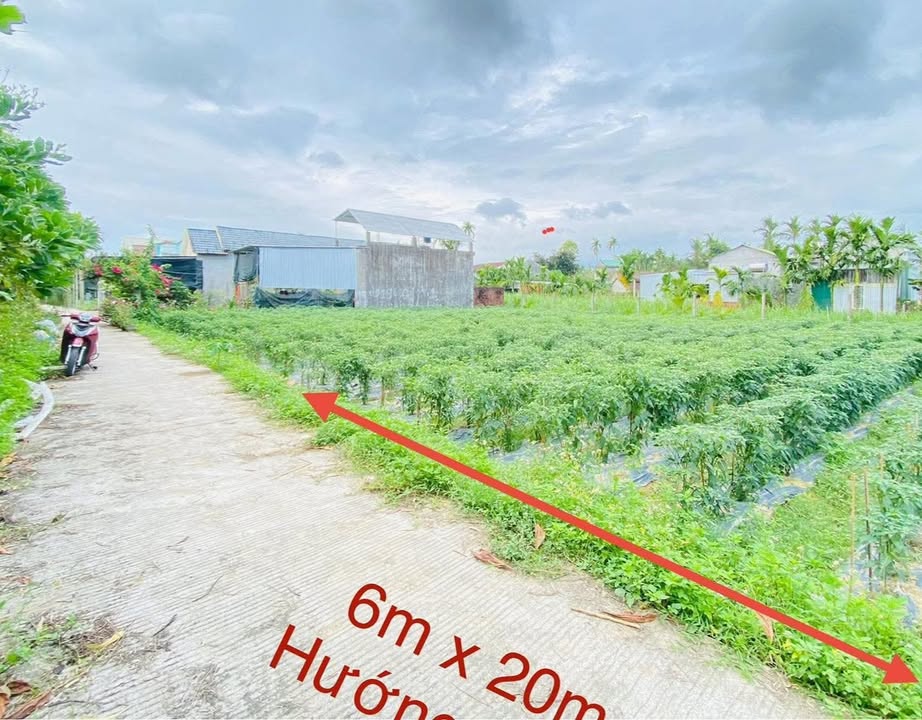 Đất Nền Hẻm Võ Nguyên Giáp, Sơn Tịnh 120m² Hướng Đông - Giá Tốt