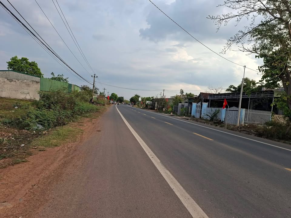 Đất Rẫy 30ha Tỉnh Lộ 1 Buôn Đôn - Sổ Riêng 100m² Thổ Cư, Mặt Tiền Rộng