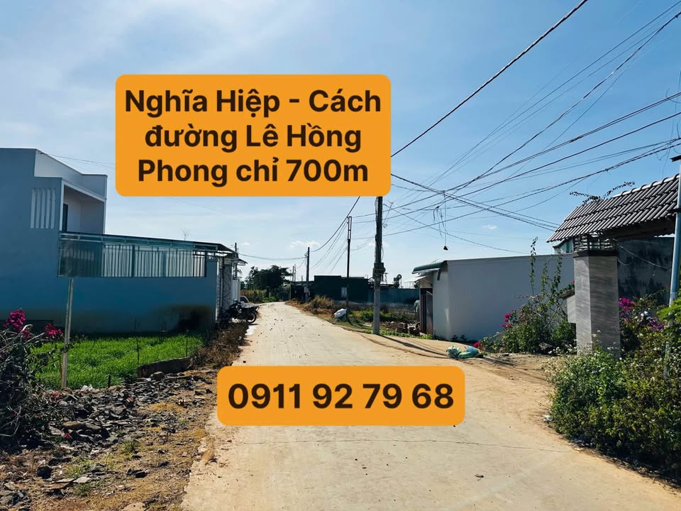 Đất Nền Cẩm Mỹ, Đồng Nai 255m² - Sổ Hồng Riêng, Giá 1.8 Tỷ