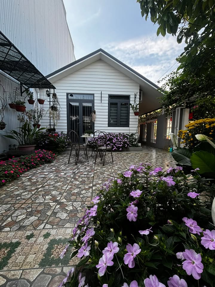 Đất nền Đạ Tẻh 1.05ha - Sổ đỏ chính chủ, đường to ô tô