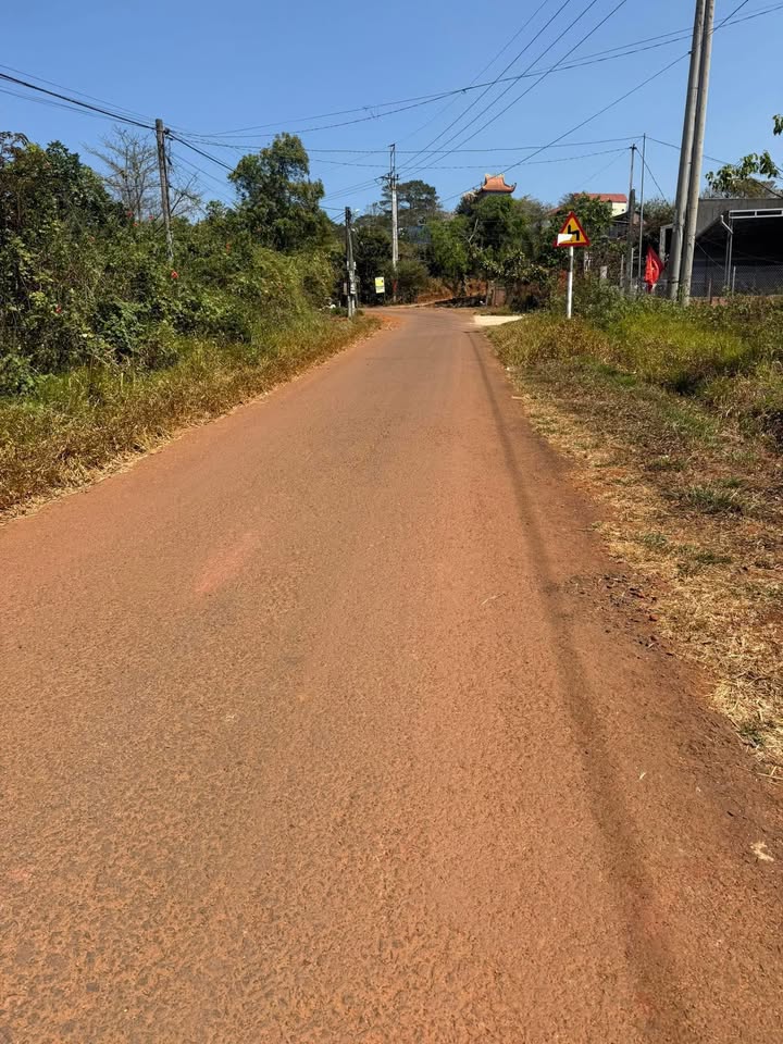 Bán Đất Thổ Cư 7000m² Mặt Tiền Nhựa Đức An, Đắk Nông - Giá 799 Triệu