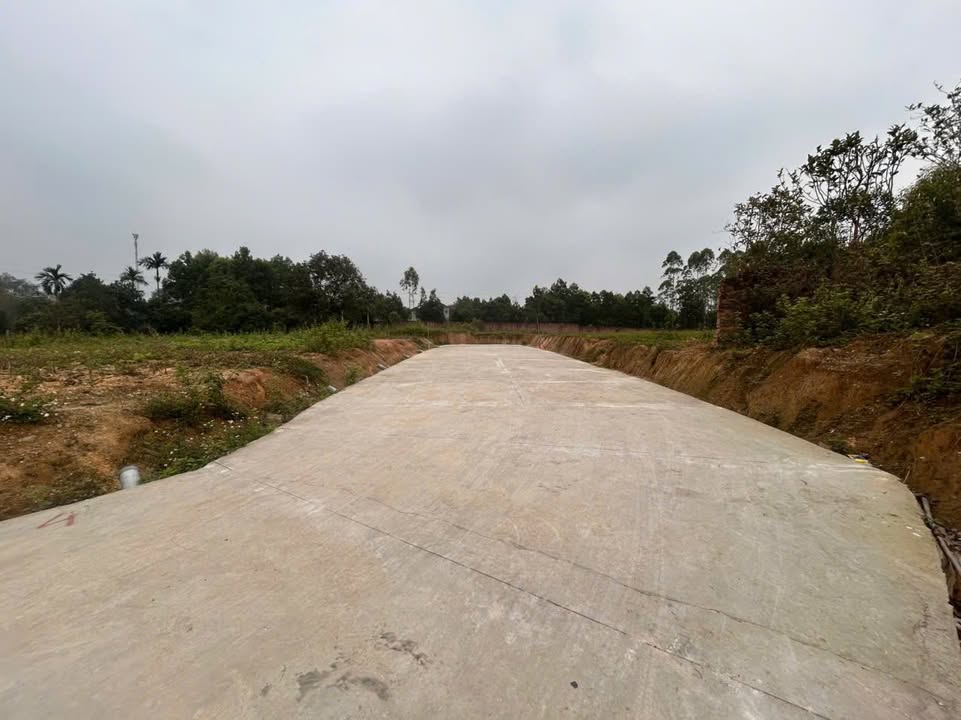 Đất nền Âu Lâu, Yên Bái 100m² - Đất thổ cư 100%!