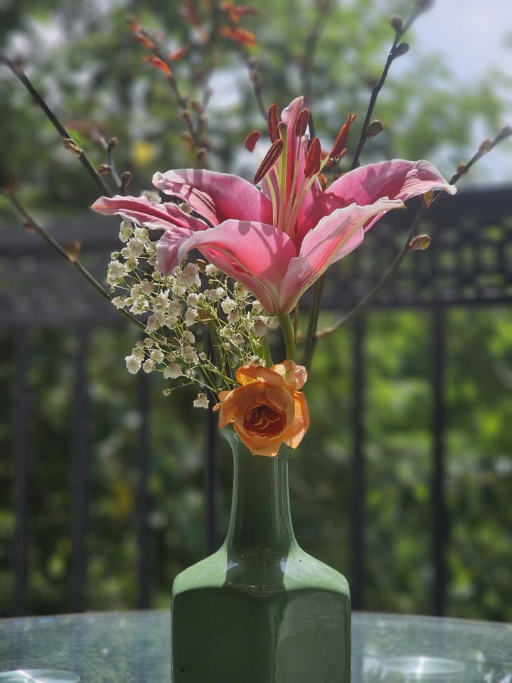 Nhà/Phòng Trọ Mới Xây Khu D Geleximco Lê Trọng Tấn, Hà Đông - Giá Từ 3 Triệu