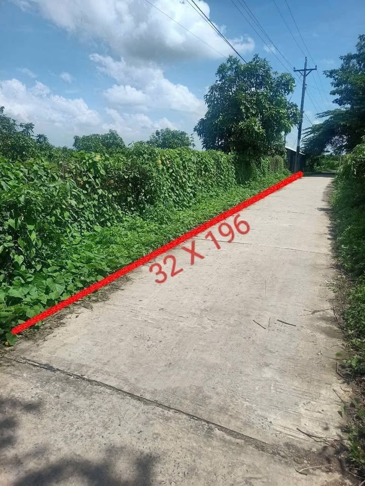 Đất vườn 6272m² Xã Hòa Bình, Chợ Mới, An Giang - Sổ đỏ chính chủ!