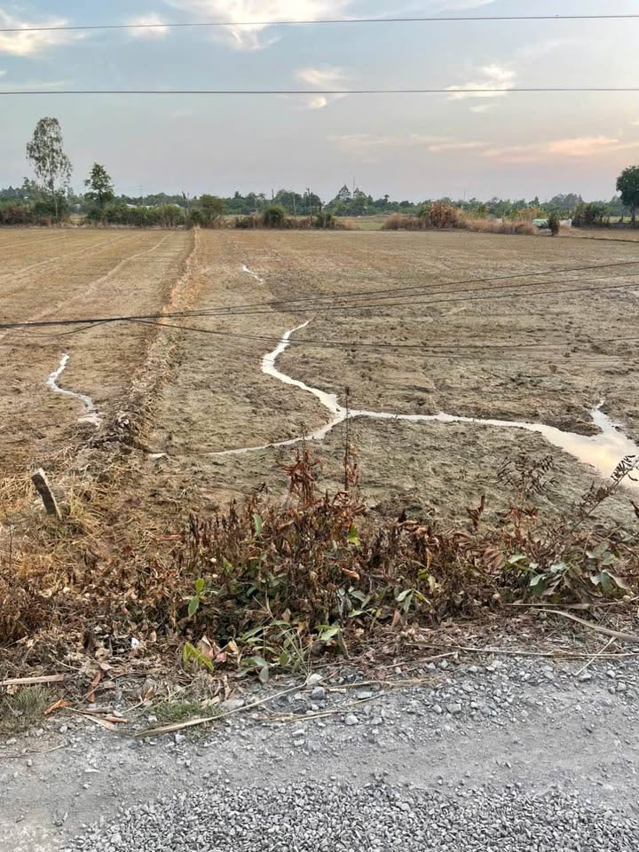 Đất vườn Mỹ Hòa Long Xuyên 2000m² 1.8 tỷ - Sinh thái xanh