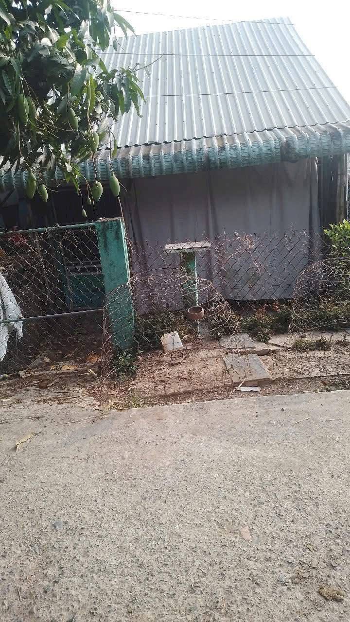 Nhà sàn gỗ Long Kiến, Chợ Mới 72m² - Giá tốt hiếm có!