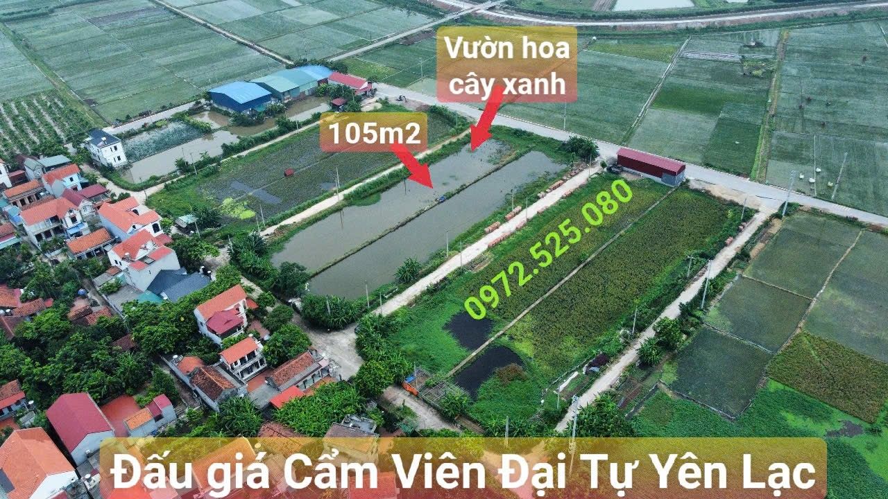 Đất đấu giá Cẩm Viên, Vĩnh Tường 105m² - Sổ đỏ trao tay, giá tốt
