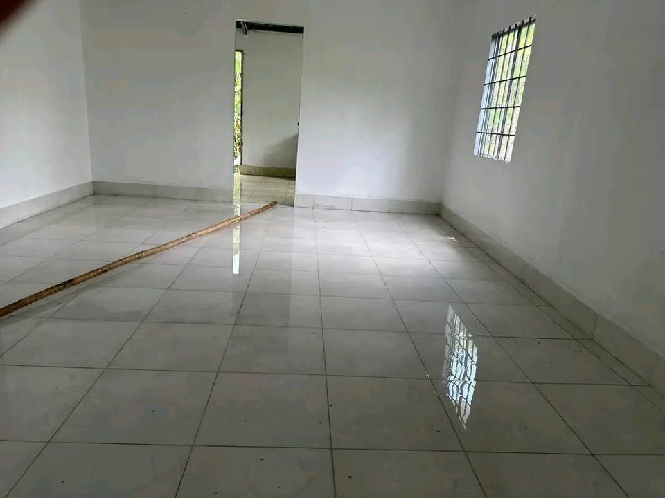 Nhà nguyên căn Phú Hưng, Bến Tre - 2PN, Sân rộng, Giá 2.5 triệu/tháng