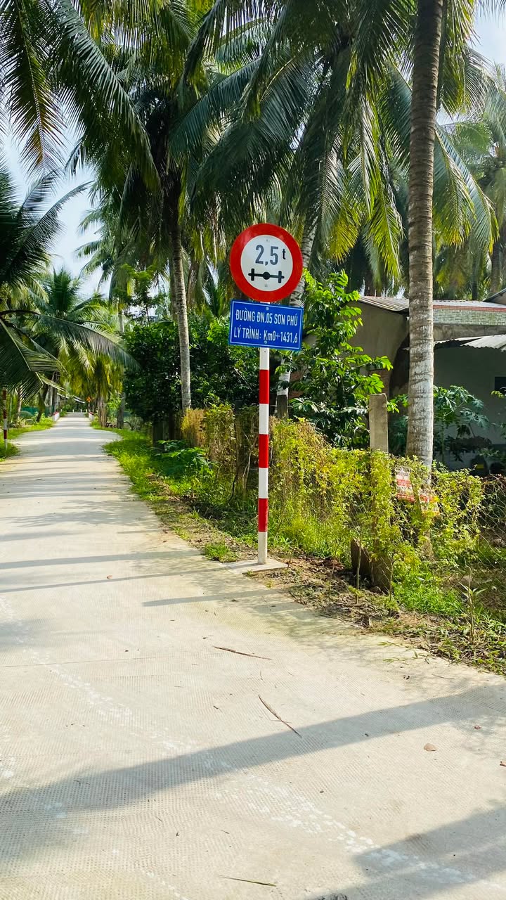 Đất vườn Sơn Phú Giồng Trôm 2500m² - Sinh thái xanh, sổ hồng sẵn!