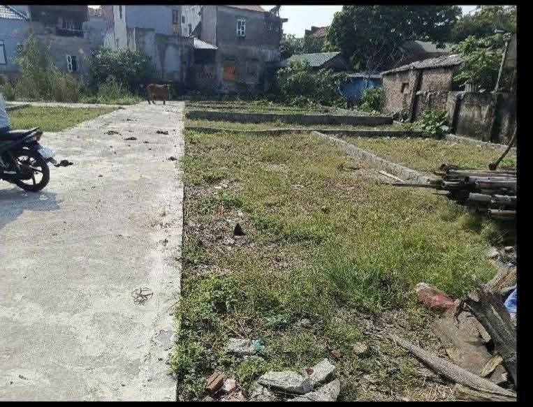 Bán Đất Lô Góc Thống Nhất, Thanh Trì 48m² - Ô Tô Vào Nhà, Giá 2 Tỷ