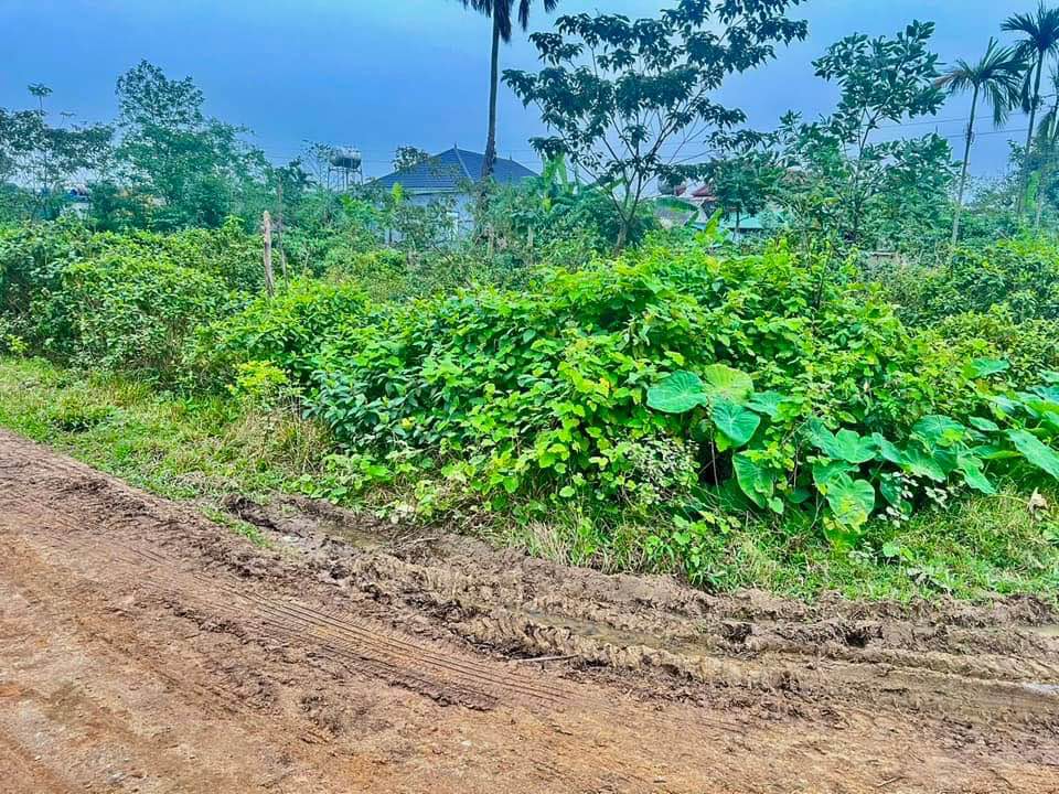 Đất nền Quyết Tiến Thạch Xuân 135m² 3xx triệu - Sổ đỏ chính chủ