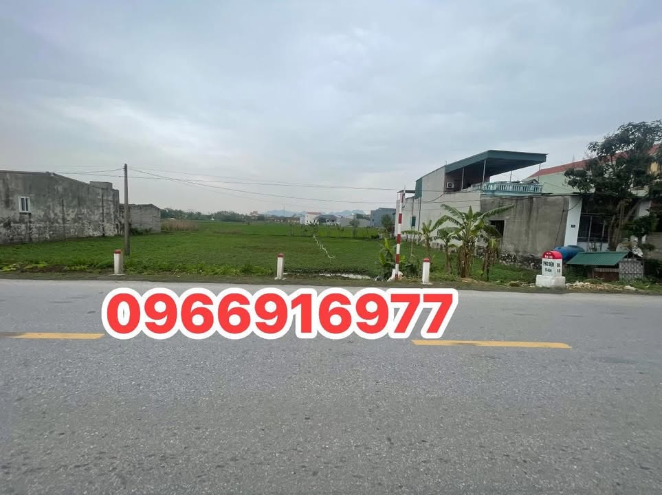 Đất nền Quốc lộ 10, Nga Sơn 100m² - Tiềm năng tăng giá vượt trội!