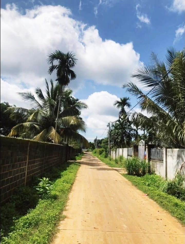 Bán Đất 500m² Thổ Cư 100m² Ea Ktur, Đắk Lắk - Giá 11 Tỷ