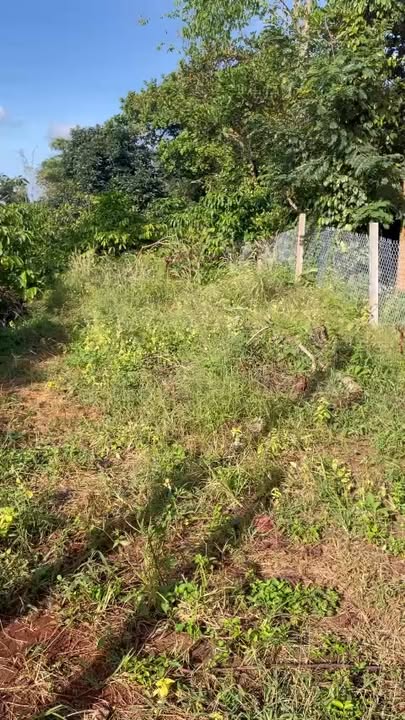 Đất nền Ea H'đinh 4500m² chỉ 1.55 tỷ - Sổ đỏ chính chủ!