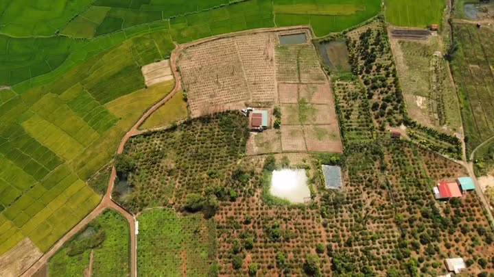 Đất Vườn Cư M'gar 11.000m² giá 11 tỷ - Sinh thái xanh