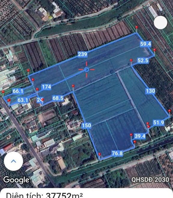 Bán Gấp 40.000m² Đất ODT Mặt Tiền DT 816 Bến Lức - Giá Rẻ 65 Tỷ