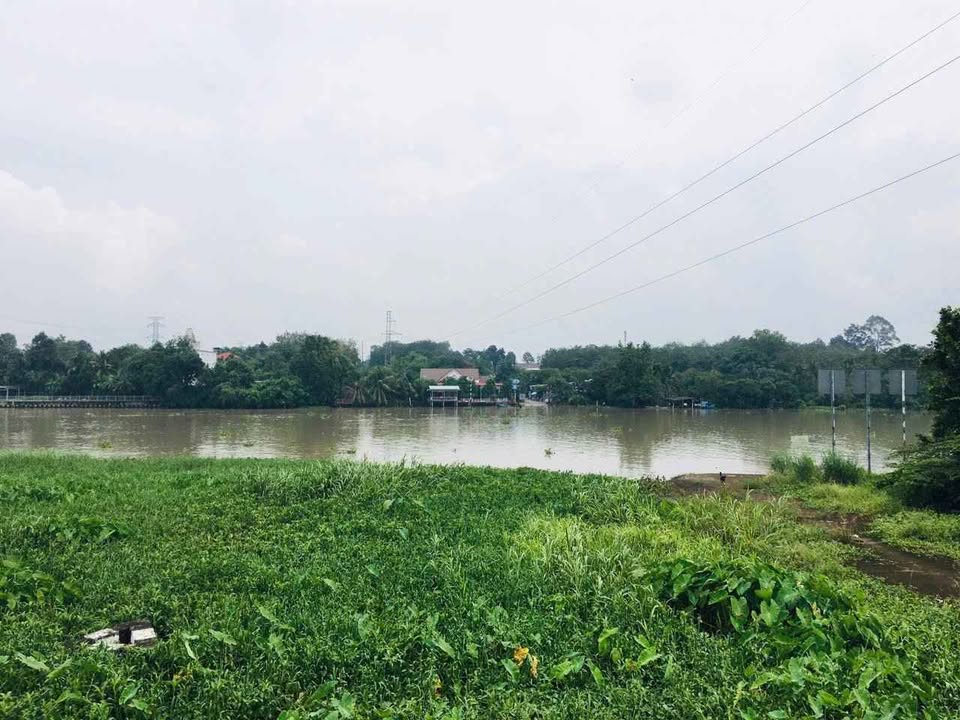 Bán Gấp Đất Mặt Tiền Sông Sài Gòn Củ Chi 1217m² - Cơ Hội Đầu Tư Vàng