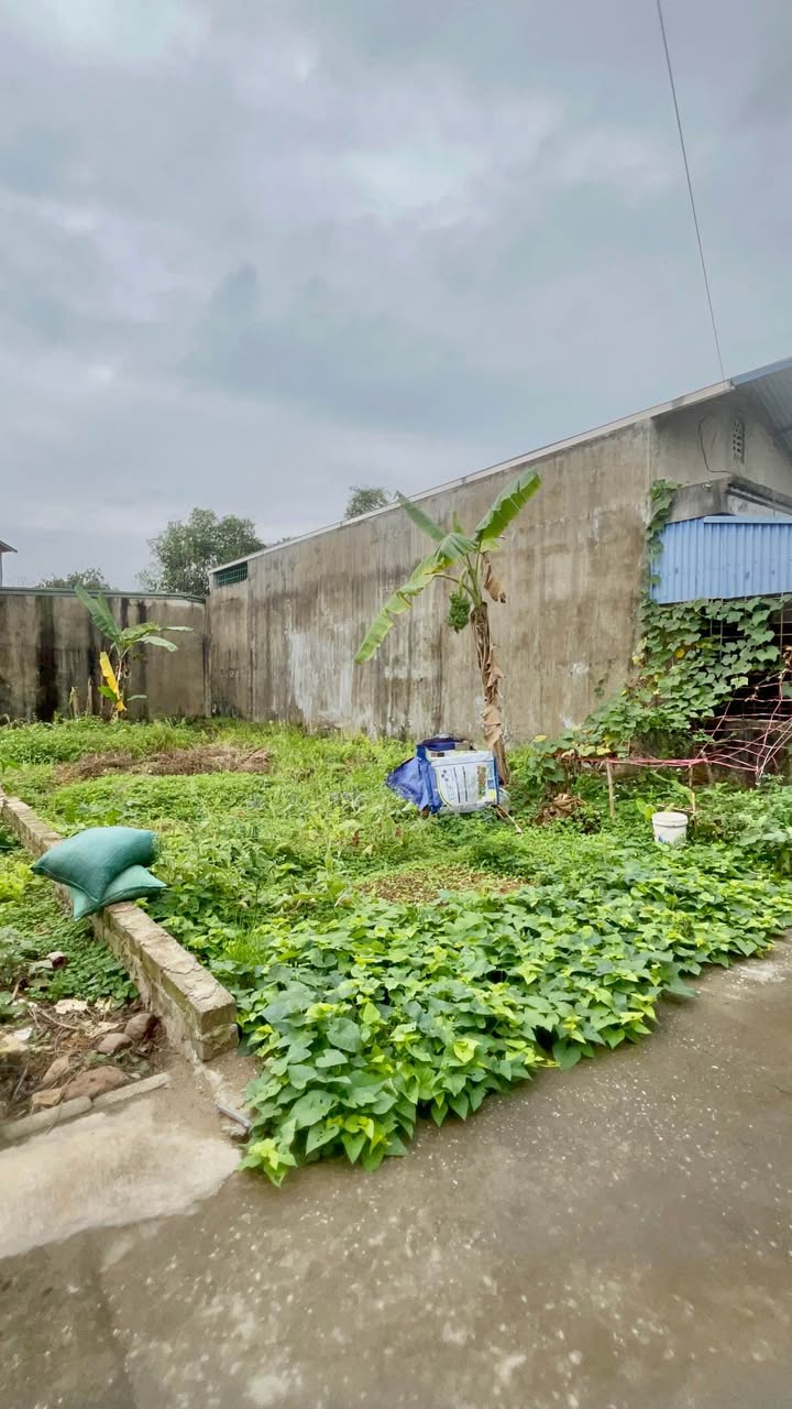 Đất nền Phường Quyết Thắng, TP Thái Nguyên - 140m² Sổ đỏ sẵn sàng giao dịch