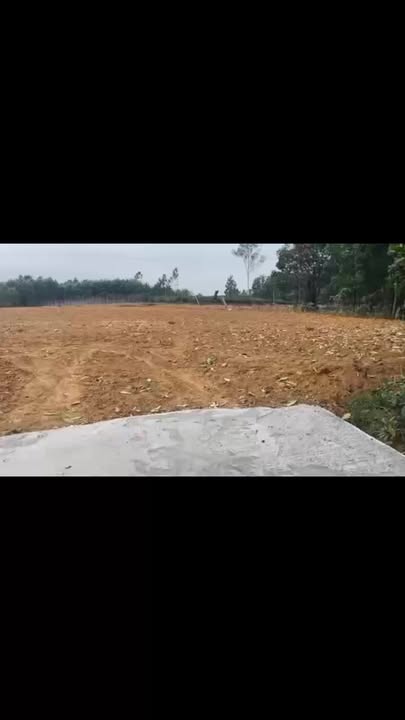 Đất nền 800m² Khai Xuân, Phú Thọ - Giá dưới 1 tỷ, Tiềm năng sinh lời cao