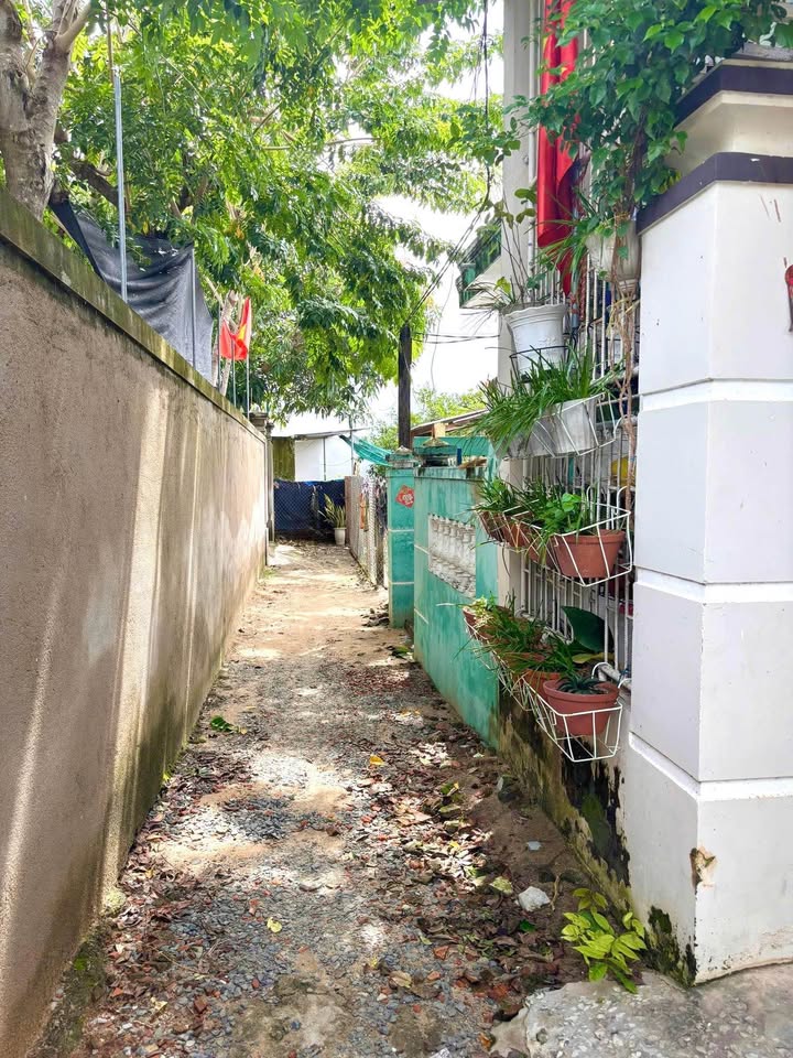 Bán Đất Vạn Ninh 127m² - Full Thổ Cư, Gần Trục Chính Xóm Than