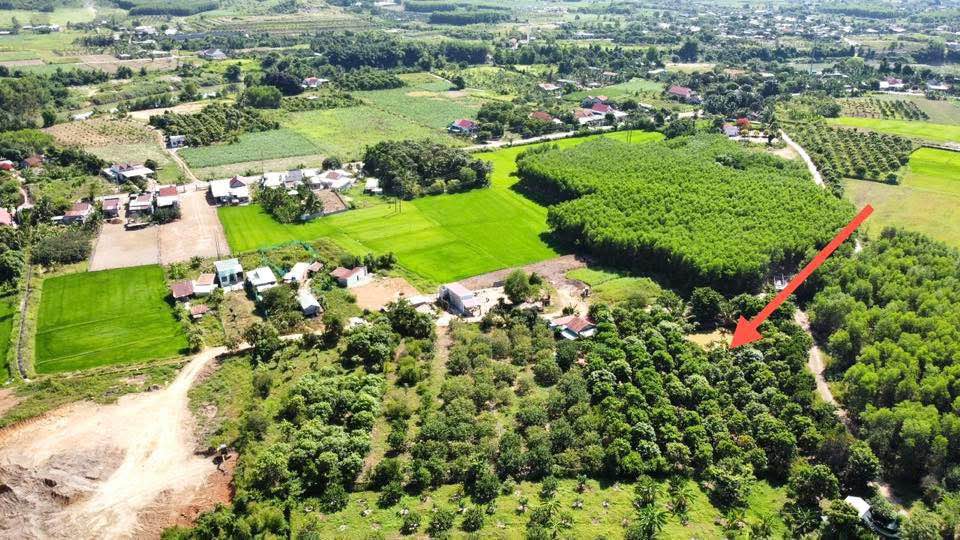 Đất nền Diên Thọ 2000m² giá 2.3 tỷ - Đường to ô tô, tách sổ dễ dàng!