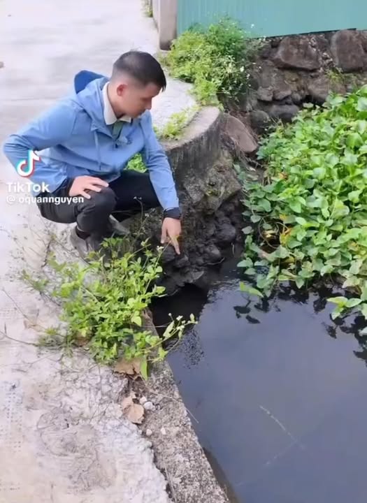 Đất nền Sông Thao, Trảng Bom 1000m² - Tiềm năng tăng giá vượt trội!