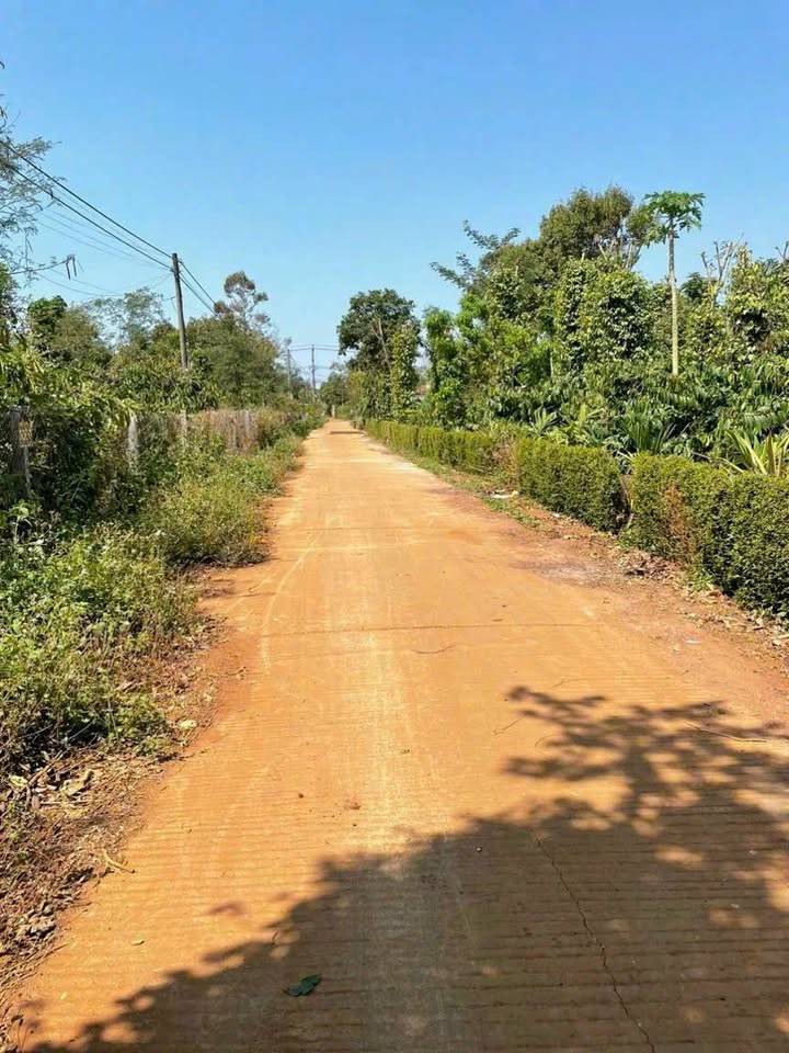 Đất Nền 140m² Hướng Nam, Xã Hòa Đông, Đắk Lắk - Giá 650 Triệu