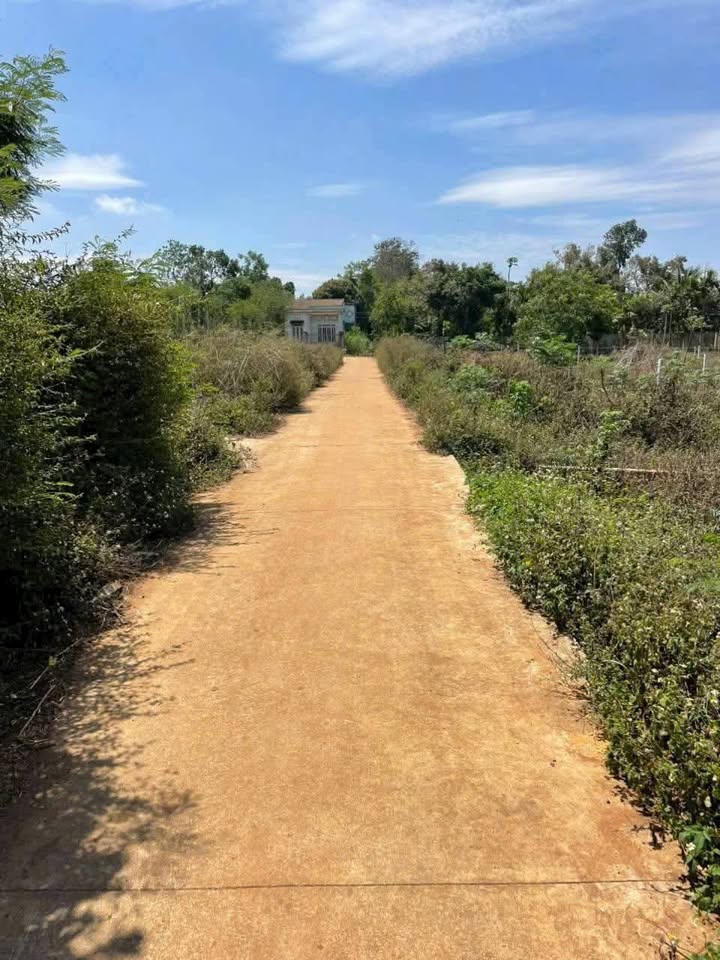 Đất nền Xã Cuôr Đăng Buôn Ma Thuột 180m² 660 triệu - Sổ đỏ chính chủ!