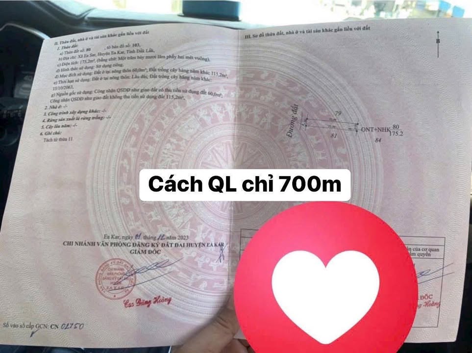 Đất nền Ea Kar 175m² giá 155 triệu - Tiềm năng tăng giá!